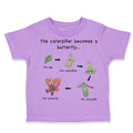 Toddler Clothes How A Caterpillar Becomes A Butterfly Hungry Caterpillar Cotton