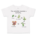 Toddler Clothes How A Caterpillar Becomes A Butterfly Hungry Caterpillar Cotton